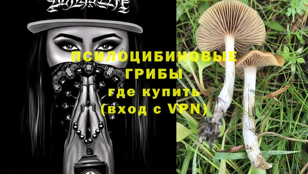 a pvp Балабаново