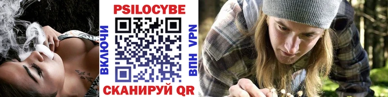 Галлюциногенные грибы GOLDEN TEACHER  как найти закладки  Новохопёрск 